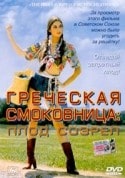 кадр из фильма Греческая смоковница