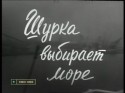 Сергей Никоненко и фильм Шурка выбирает море (1963)