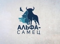 программа Техно 24: Альфа самец Дельфины