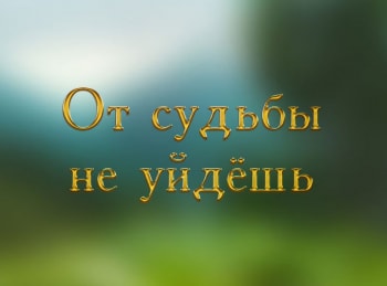 программа ТНВ-планета: От судьбы не уйти