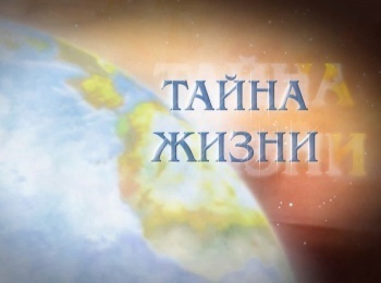 программа Три Ангела: Тайна жизни Сколько на самом деле времени необходимо для эволюции?