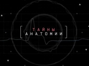 Тайны-анатомии-Дыхательная-система