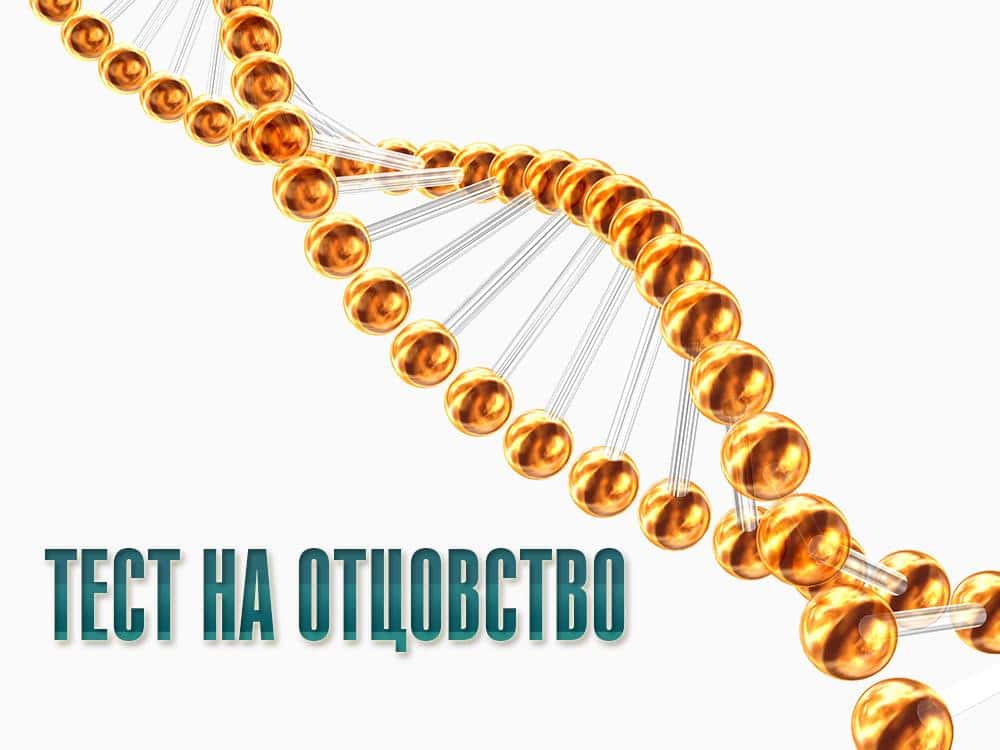 программа Домашний: Тест на отцовство 303 серия