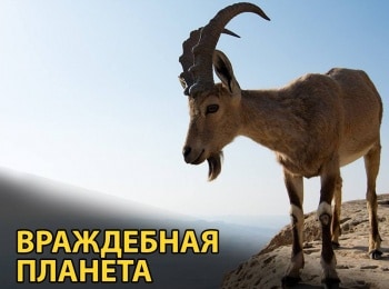 программа National Geographic: Враждебная планета Полюса