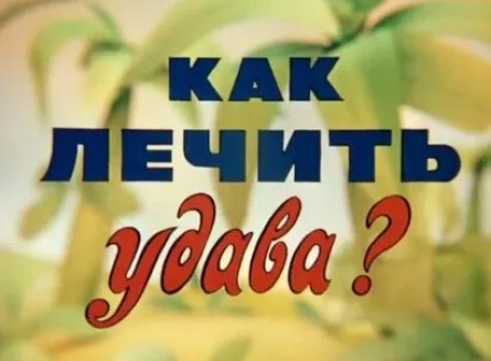 Как лечить удава? кадры