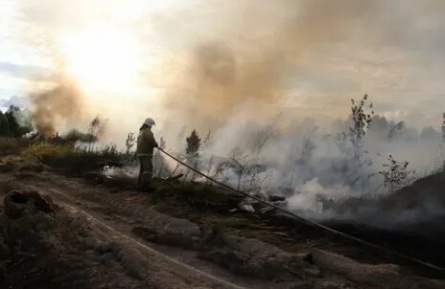 Пожар на помойке кадры