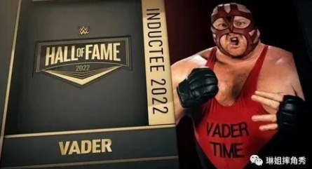 WWE Hall of Fame кадры