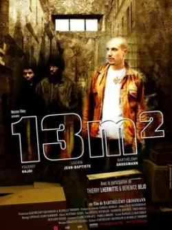 Беренис Бежо и фильм 13 квадратных метров (2007)