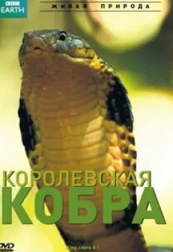 кадр из фильма BBC: Королевская кобра