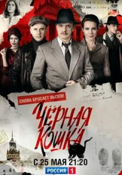 Константин Лавроненко и фильм Чёрная кошка (2016)