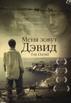 Джоан Плаурайт и фильм Меня зовут Дэвид (2003)