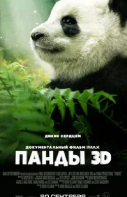 кадр из фильма Панды 3D