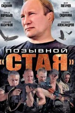 кадр из фильма Позывной «Стая»