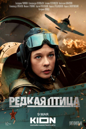 Кирилл Гребенщиков и фильм Редкая птица (2024)