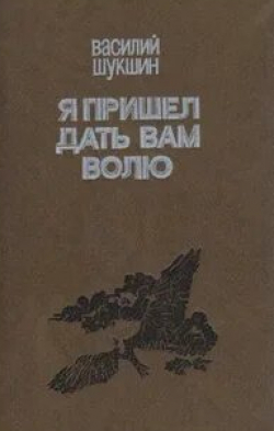 кадр из фильма Василий Шукшин. Я пришёл дать вам волю