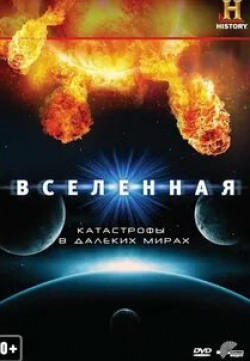 Дэвид Экройд и фильм Вселенная Огромное, далекое, быстрое (2007)